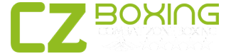 COMBAT ZONE BOXING PAKISTAN